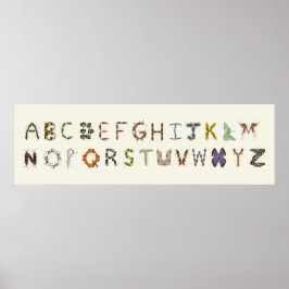 Bug Decor Insect of Bug Alfabet Educatief Poster
