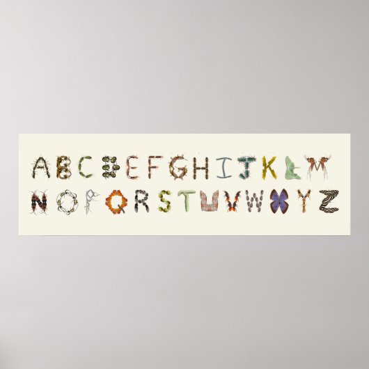 Bug Decor Insect of Bug Alfabet Educatief Poster (Voorkant)