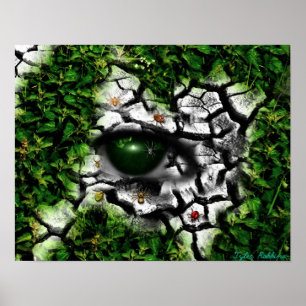 Bug- en ogen poster