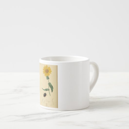 BUG EN STROOM ESPRESSO-Mok Espresso Kop (Voorkant rechts)