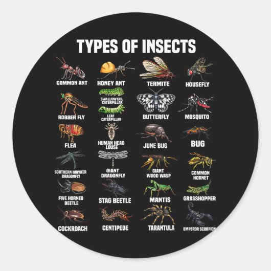 Bug Enthusiast - Mannen, Vrouwen, & Kinder Funny I Ronde Sticker (Voorkant)