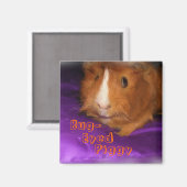 Bug-Eyed Piggy Guinee Pig Magnet (Voorkant / Achterkant)