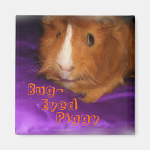 Bug-Eyed Piggy Guinee Pig Magnet