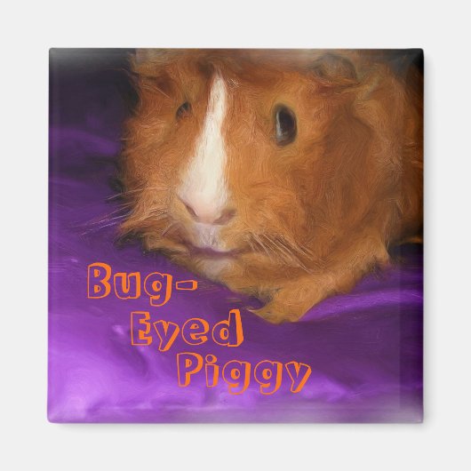 Bug-Eyed Piggy Guinee Pig Magnet (Voorkant)