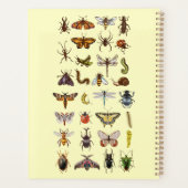 Bug Identificatielogboek voor kinderen Planner (Achterkant)