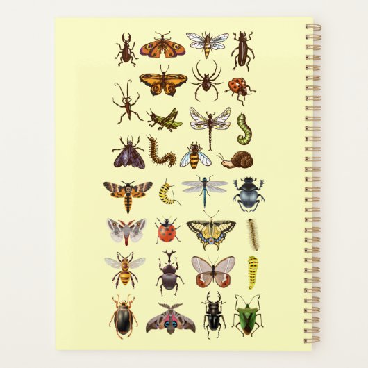 Bug Identificatielogboek voor kinderen Planner (Achterkant)