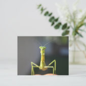 Bug je briefkaart (Staand voorkant)