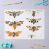 Bug Junk Journal Elements — Blad Tissuepapier (Craft)