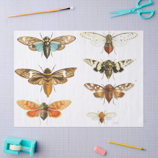Bug Junk Journal Elements — Blad Tissuepapier (Craft)