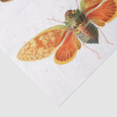 Bug Junk Journal Elements — Blad Tissuepapier (Detail)