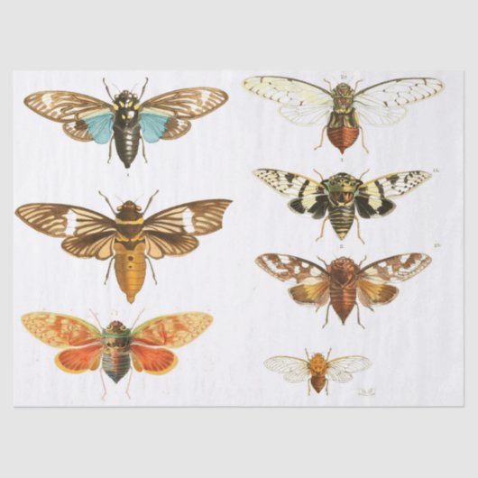 Bug Junk Journal Elements — Blad Tissuepapier (Voorkant)