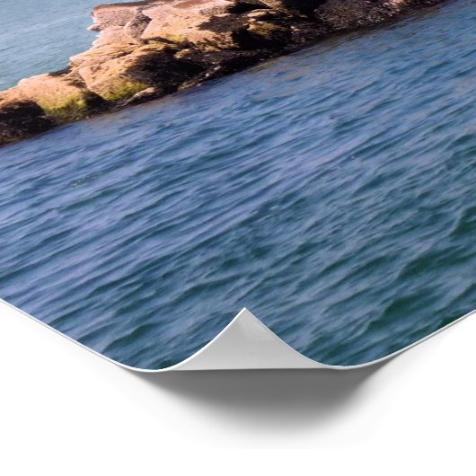 Bug Light Poster (Hoek)