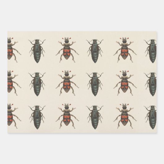 Bug Lover Insect Patroon Alle keren Inpakpapier Vel (Voorkant 3)