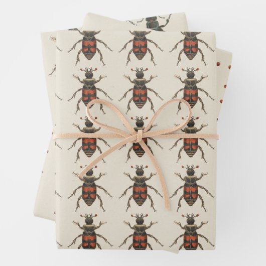 Bug Lover Insect Patroon Alle keren Inpakpapier Vel (In situ)