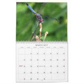 Bug me! kalender (Mar 2027)