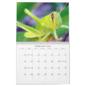 Bug me! kalender (Feb 2026)