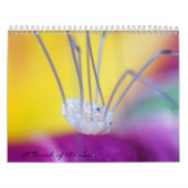 Bug me! kalender (Hoes)