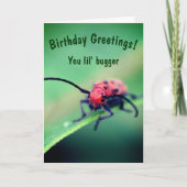 Bug met Attitude Cute Birthday Kaart (Voorkant)