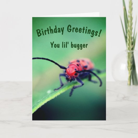 Bug met Attitude Cute Birthday Kaart (Voorkant)