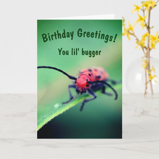 Bug met Attitude Cute Birthday Kaart (Gele Bloem)