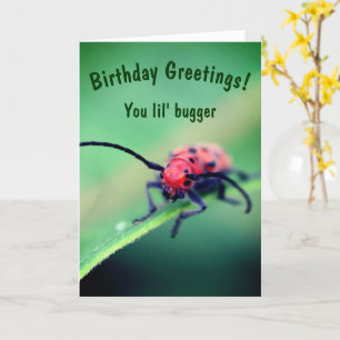 Bug met Attitude Cute Birthday Kaart
