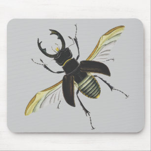 Bug Muismat