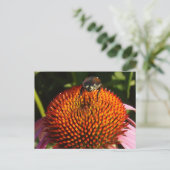 Bug op ventilator briefkaart (Staand voorkant)