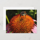 Bug op ventilator briefkaart (Voorkant / Achterkant)