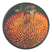 Bug op ventilator hockey puck (Voorkant)