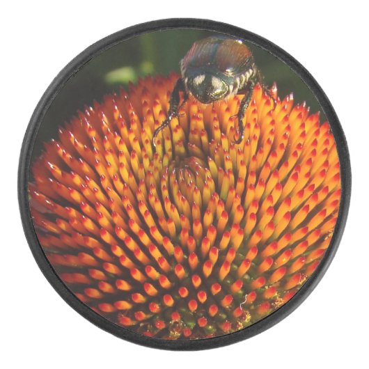 Bug op ventilator hockey puck (Voorkant)