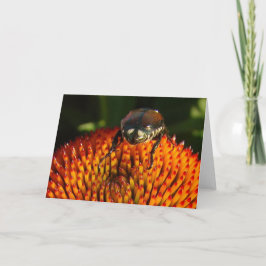 Bug op ventilator kaart