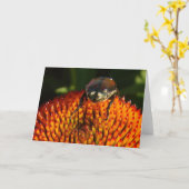 Bug op ventilator kaart (Gele Bloem)