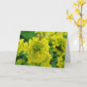 Bug op ventilator kaart (Gele Bloem)