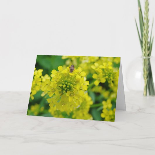 Bug op ventilator kaart (Voorkant)