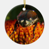 Bug op ventilator keramisch ornament (Voorkant)