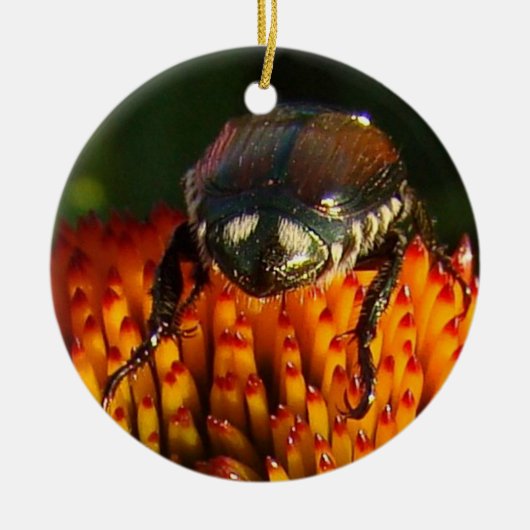 Bug op ventilator keramisch ornament (Voorkant)