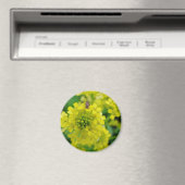 Bug op ventilator magneet (Insitu (Vaatwasser))