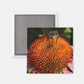 Bug op ventilator magneet (Voorkant / Achterkant)