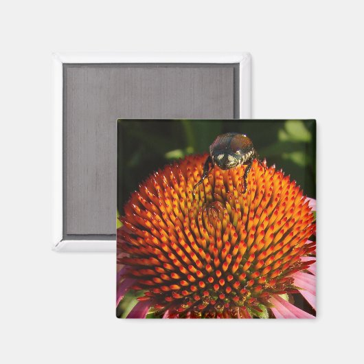 Bug op ventilator magneet (Voorkant / Achterkant)