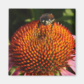 Bug op ventilator magneet (Voorkant)