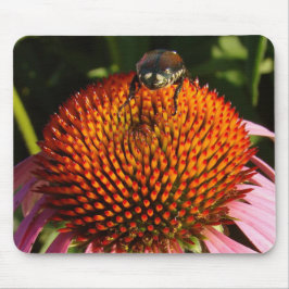 Bug op ventilator muismat