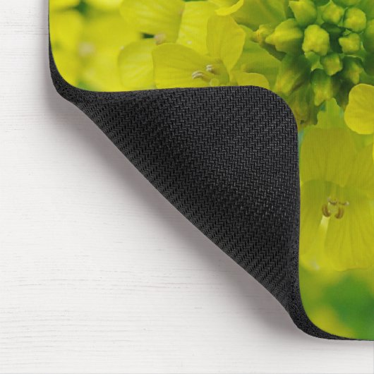 Bug op ventilator muismat (Hoek)