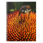 Bug op ventilator notitieboek (Voorkant)