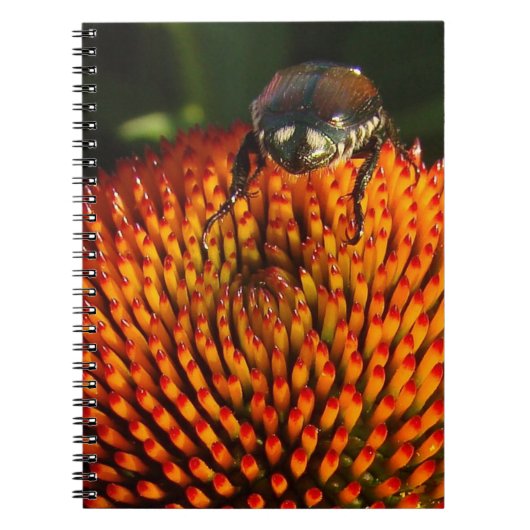 Bug op ventilator notitieboek (Voorkant)