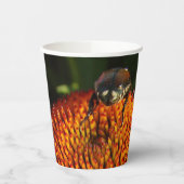 Bug op ventilator papieren bekers (Links)