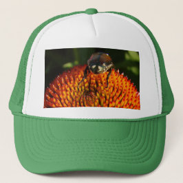 Bug op ventilator trucker pet