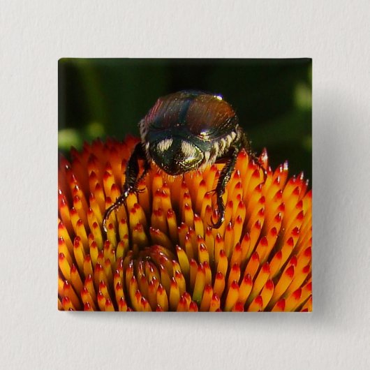 Bug op ventilator vierkante button 5,1 cm (Voorkant)