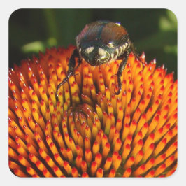 Bug op ventilator vierkante sticker