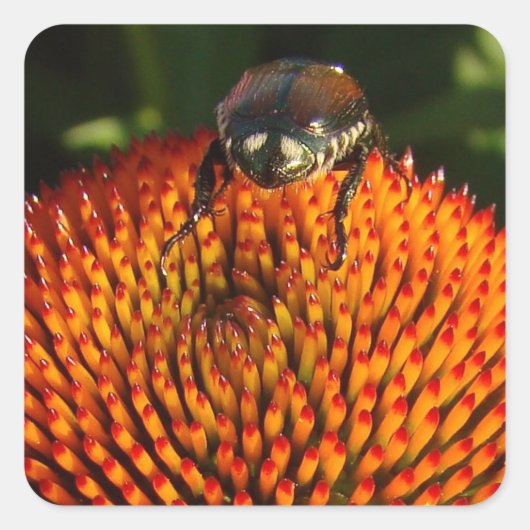 Bug op ventilator vierkante sticker (Voorkant)