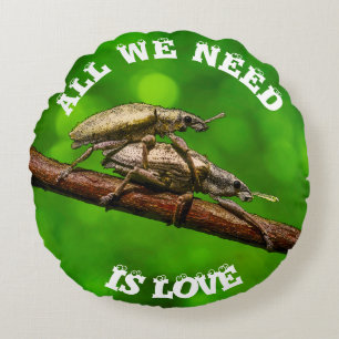 Bug-overs op de afdeling rond kussen